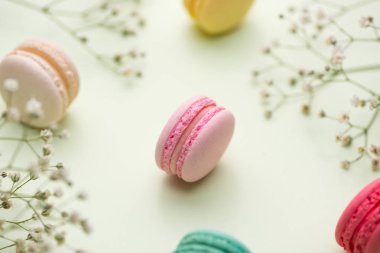 Tatlı. Tatlı macarons veya çiçekli macaroons.