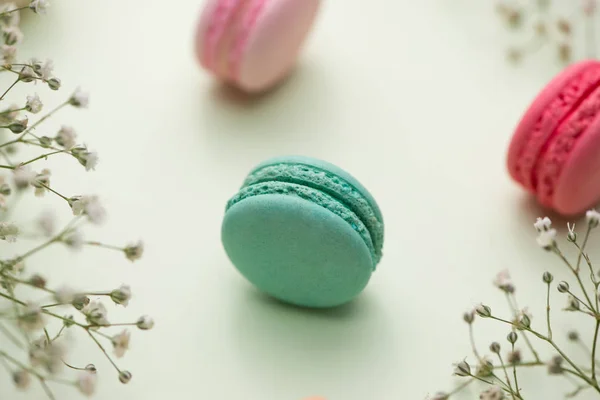 Dessert. Sweet macarons or macaroons with flowers. — Stock Photo, Image