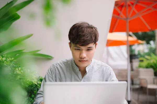 Male freelancer using laptop — Stock Photo, Image