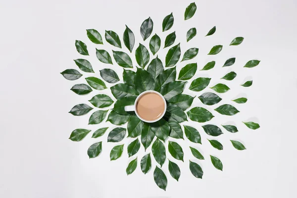 Yeşil yaprakları desen fincan kahve ile — Stok fotoğraf