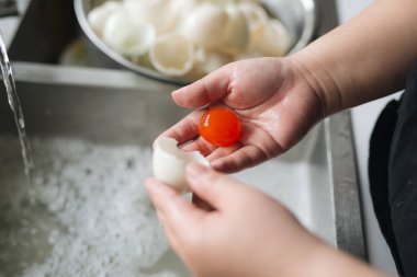 Çin altın yumurta sarısı