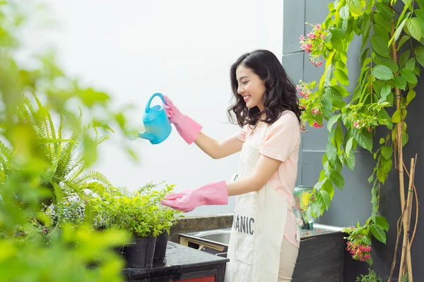 Giovane Asiatico Femmina Giardiniere Irrigazione Verde Piante — Foto Stock