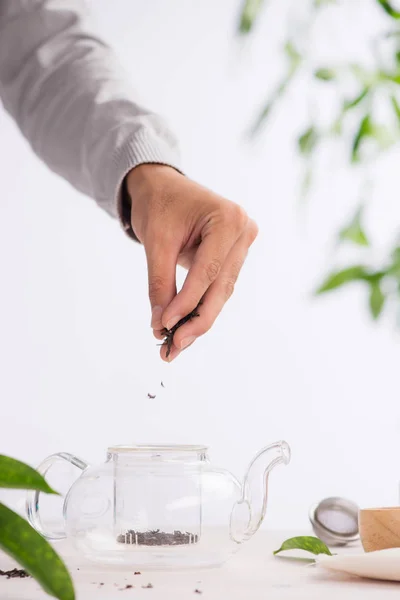 Male Hands Dry Black Tea Falling — Stock Photo, Image