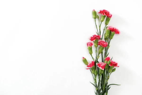 Flores Rojas Amorosas Sobre Fondo Blanco Tarjeta Felicitación Festiva —  Fotos de Stock