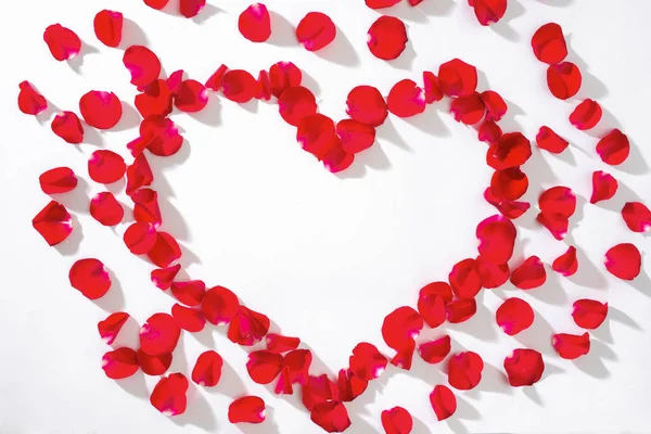 Сердце Красных Лепестков Роз Белом Фоне — стоковое фото