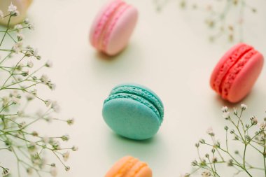 Düz renk macarons ve hafif masaya çiçek ile göklere 