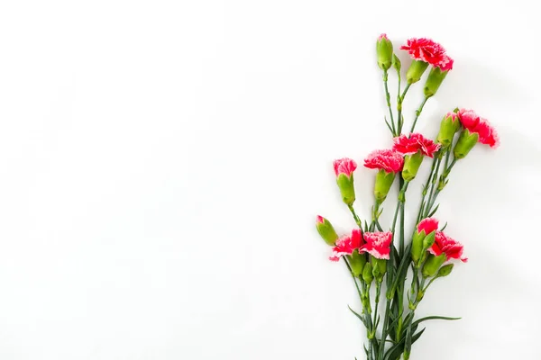 Flores Rosadas Sobre Fondo Blanco Tarjeta Felicitación Festiva — Foto de Stock