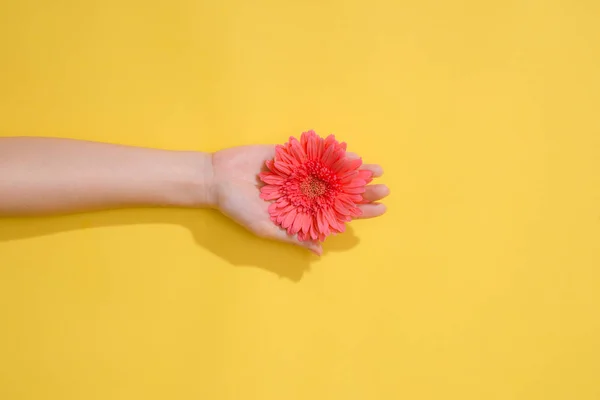 Amor Concepto Del Día San Valentín Fondo Primavera Verano —  Fotos de Stock