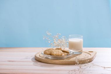 Süt ve süt ürünleri. Süt ve kurabiye pasta organik Kahvaltı.