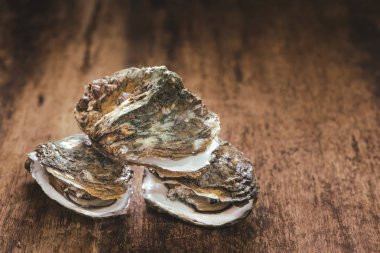 Çiğ istiridye ahşap Tablo Görünümü Kapat