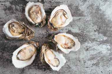 İstiridye üzerinde siyah metal rustik arka plan açılan