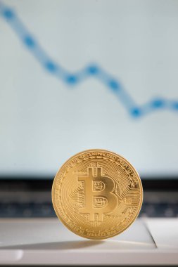 grafik artan notebook klavye üzerinde altın bitcoin