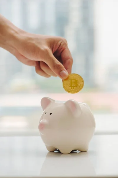 Руки Покласти Монети Золотий Bitcoin Скарбничку — стокове фото