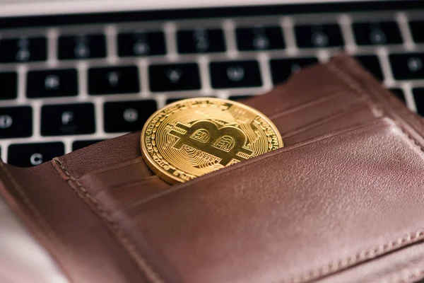 Виртуальный Кошелек Золотая Монета Биткойна Криптовалютная Концепция — стоковое фото