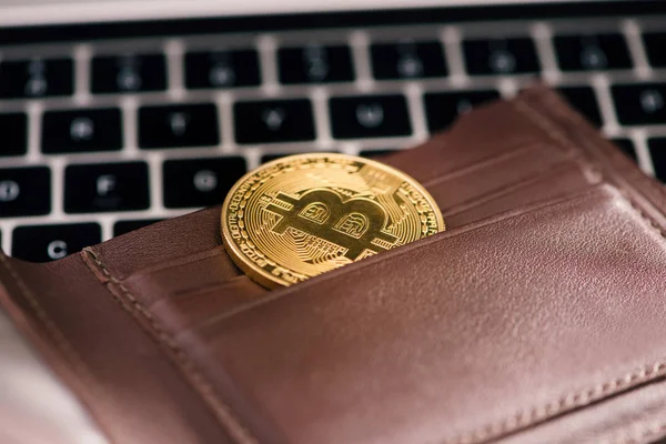 Portafogli Valuta Virtuale Moneta Oro Bitcoin Concetto Criptovaluta — Foto Stock