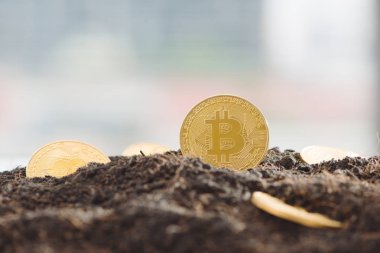 Altın Bitcoin kavramı madencilik, sikke yakın çekim