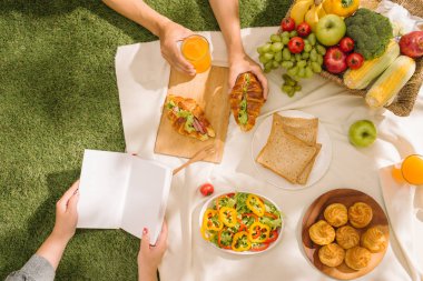 Parkta çim ile gıda ve içecek battaniye üzerinde piknik