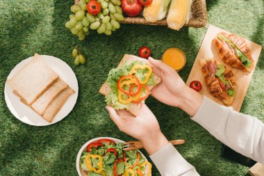Çimenlerin üzerinde parkta bir yaz tatili için sağlıklı piknik.
