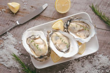 Açılan istiridye, gri taş masanın üstüne limon. Yarım düzine. Kopya alanı ile