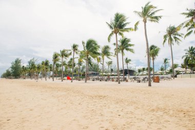 Tropikal plaj. Ocean tatil hedef sahne