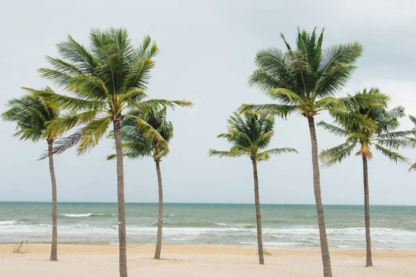ヤシの木 青い空 白い砂浜と熱帯のビーチ — ストック写真