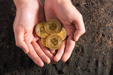 Bitcoins erkek eller, bankacılık web ve uluslararası ağ ödeme için elektronik sanal para.