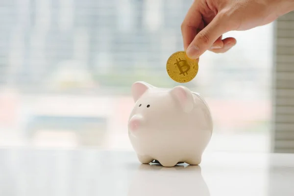 Золотий Bitcoin Скарбничку Символ Крипто Валюти Концепція Електронні Віртуальні Гроші — стокове фото
