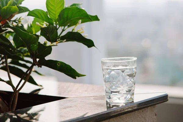 Vista Primer Plano Del Vaso Agua Planta Verde Sobre Mesa — Foto de Stock