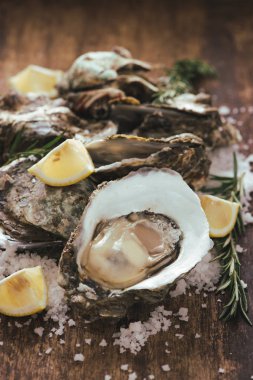 Açık deniz hayvanı kabuğu istiridye limon ve tuz bir ahşap tahta üzerinde