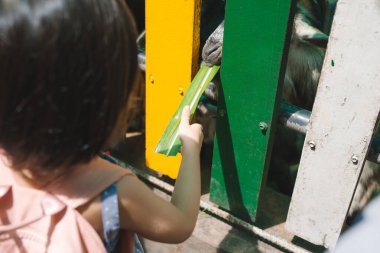 Kız bir çiftlikte keçi besleme