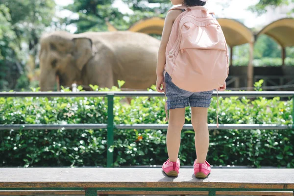 Children Feed Asian Elephant Tropical Safari Park Summer Vacation Kid — ストック写真