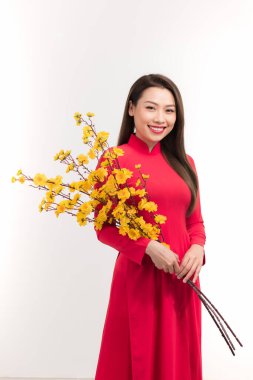 Hoa Mai ağacı (Ochna Integerrima) çiçeğini tutan geleneksel aodai elbisesi içindeki genç Asyalı kadın, gülümsüyor, Ay Yeni Yılı veya bahar festivalini kutluyor