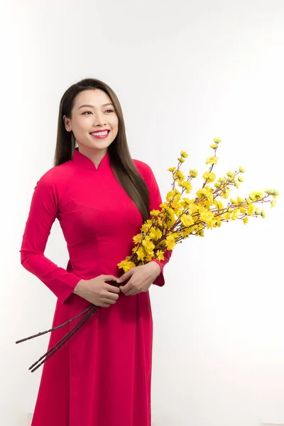 Красивая Вьетнамская Молодая Женщина Ветвями Цветущего Абрикоса — стоковое фото