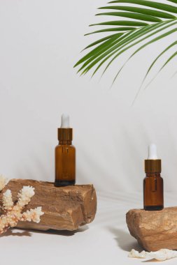 Beyaz arka planda tropikal tarzda serum ya da temel yağ, kayalar, deniz dikenleri. Güzellik ürünü konsepti.