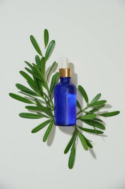 Yeşil yapraklı, tuzlu ve bitkisel kozmetik paketleri. Doğal organik güzellik ürünü kavramı