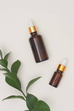 Cilt bakımı için doğal güzellik kozmetik ürünü. Bitkisel özlü serum ya da temel yağ. 