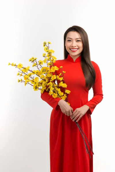 Красивая Молодая Женщина Цветение Абрикоса Вьетнамский Tet Праздник Получает — стоковое фото
