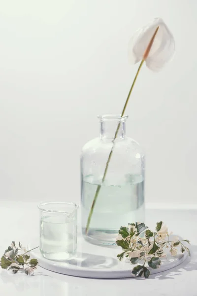 Concepto Aceites Perfume Artículos Vidrio Laboratorio Con Agua Floral Infundida —  Fotos de Stock
