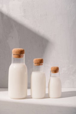 Süt veya kokteyl yaratıcı kavramı, minimalizm tarz, açı görünümü, bir metin için alan.