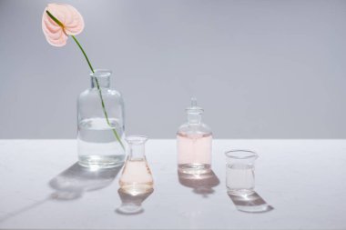 Doğal organik botanik ve bilimsel Züccaciye Mağazaları, alternatif bitki tıp, Doğal Cilt Bakımı güzellik ürünleri, araştırma ve geliştirme kavramı. 
