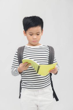 Stüdyoda beyaz bir arkaplan üzerine kitap okuyan okul çocuğu, izole edilmiş portre.