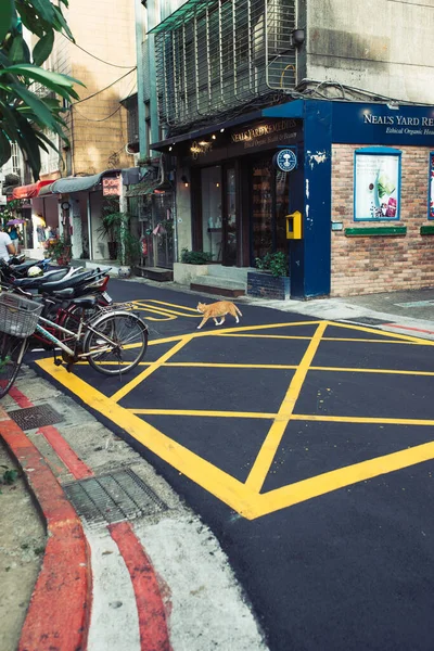 通りを横断する黄色い猫 — ストック写真