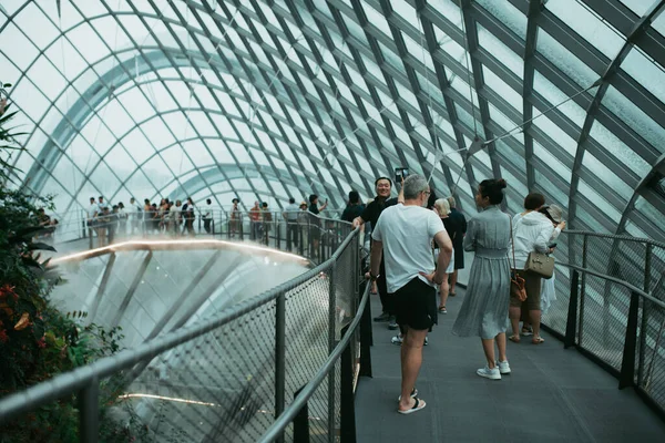 新加坡 2019年6月 游客在新加坡湾花园的云雾丛中拍照 — 图库照片