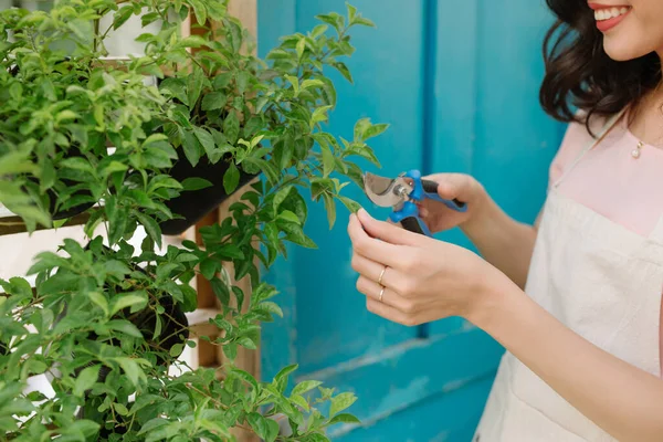 Attraente Donna Potatura Alberi Con Forbici Giardino — Foto Stock