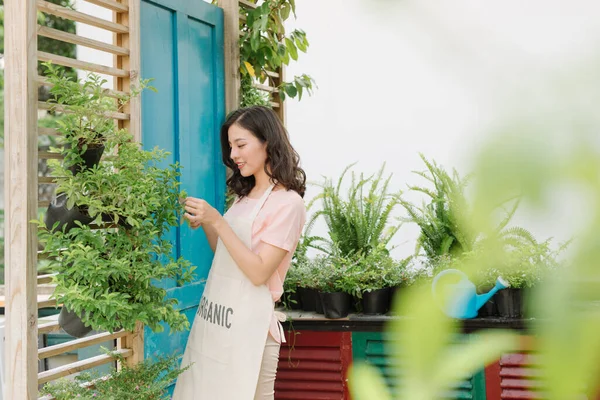 Attraente Donna Potatura Alberi Con Forbici Giardino — Foto Stock