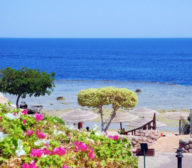 Coral beach, Sharm El Sheikh.
