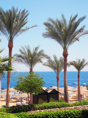 Sharm el Sheikh resort.