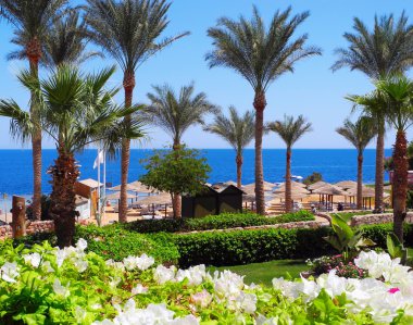 Sharm el Sheikh resort.