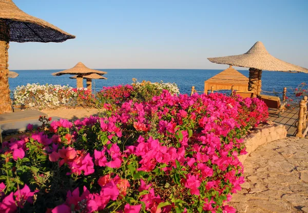 The charming beach umbrellas. — Stock Photo, Image