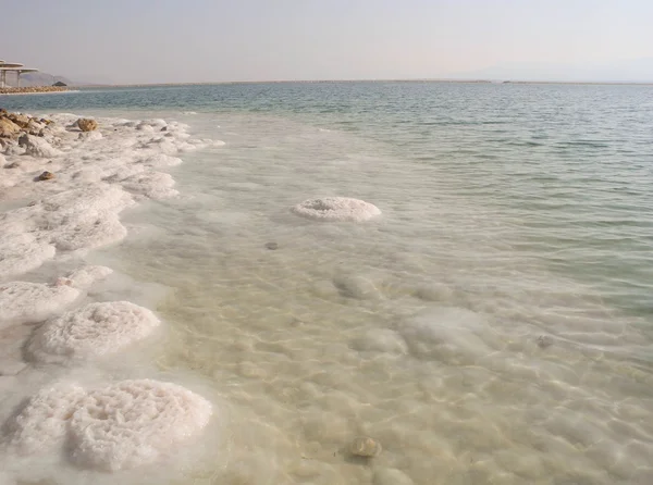 Holt-tengeri só. — Stock Fotó